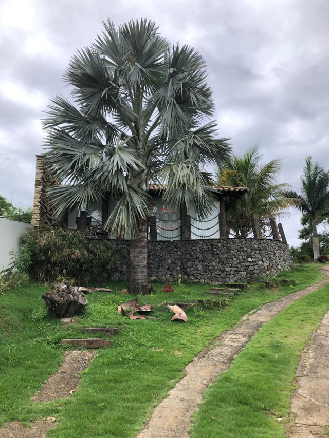 Foto cadastro cód. 2169