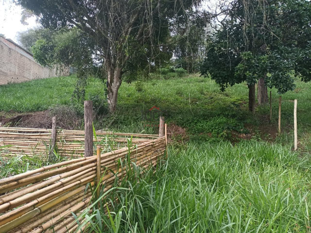 Foto cadastro cód. 2357