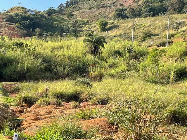 Foto cadastro cód. 379