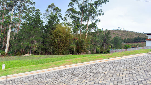 Foto cadastro cód. 557