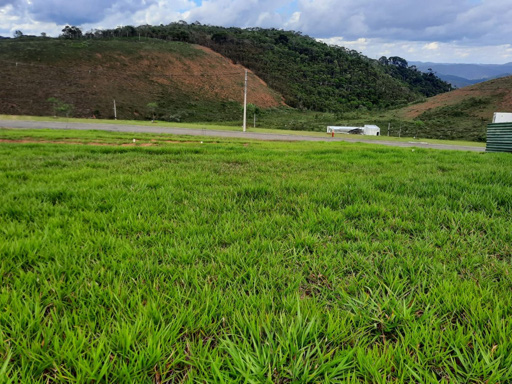 Foto cadastro cód. 1178