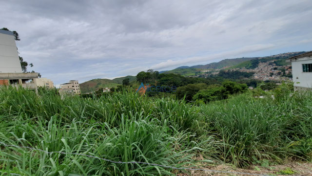 Foto cadastro cód. 2747