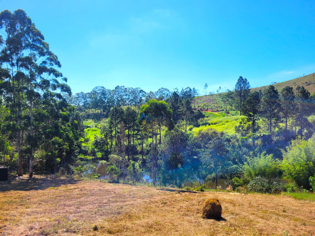 VISTA DO LOTE