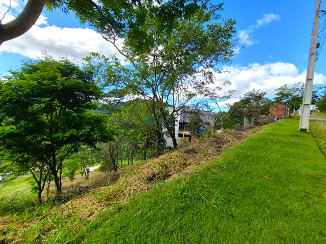 TERRENO