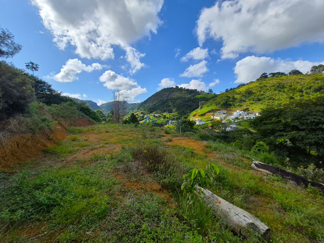 TERRENO