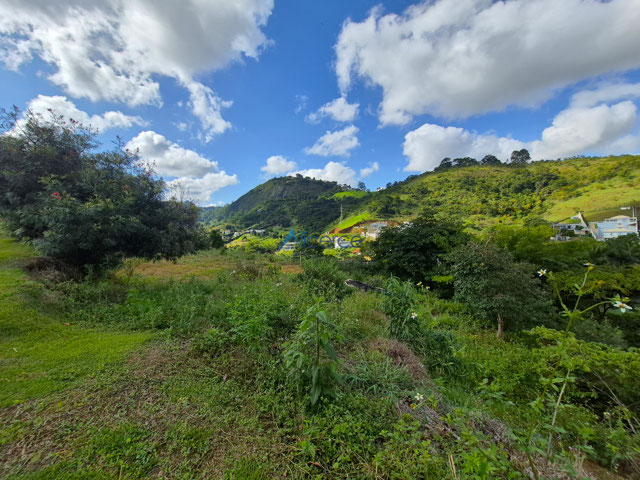 TERRENO