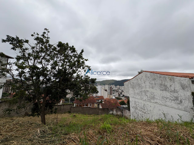 Frente