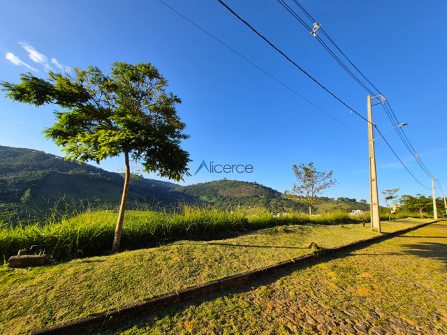 LOTE