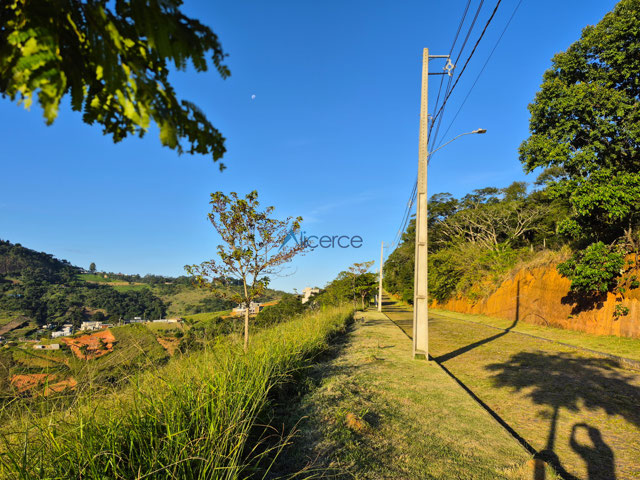 LOTE