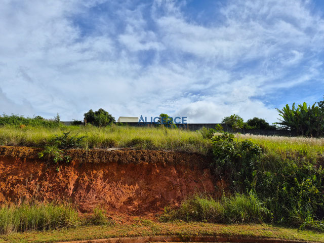 TERRENO