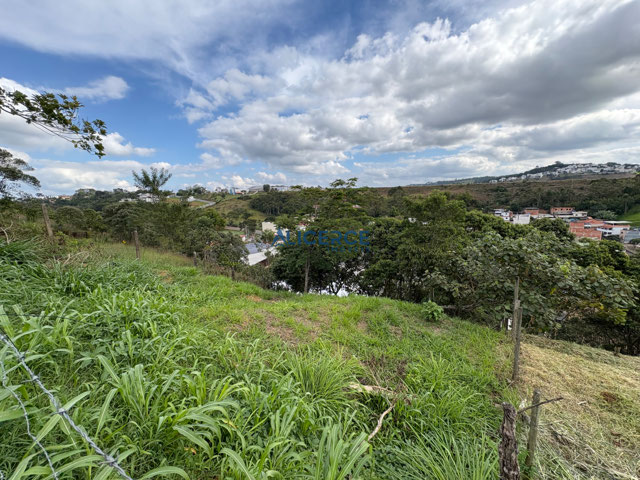 Lateral direita