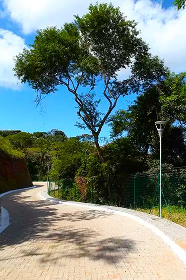 ALAMEDA PRINCIPAL DO CNDOMÍNIO