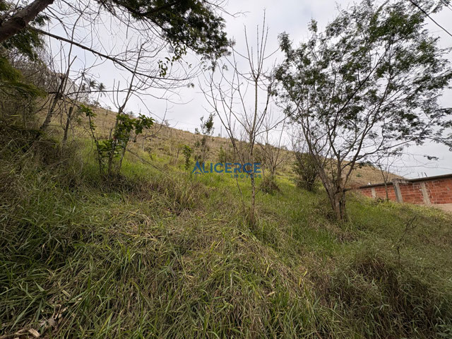 Foto cadastro cód. 4406