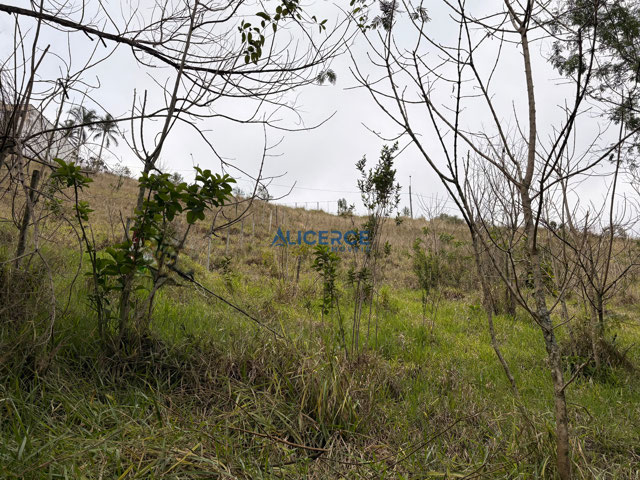 Foto cadastro cód. 4406