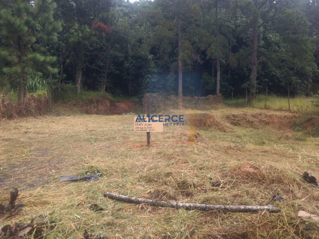 Foto cadastro cód. 4515