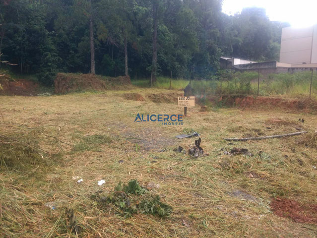 Foto cadastro cód. 4515