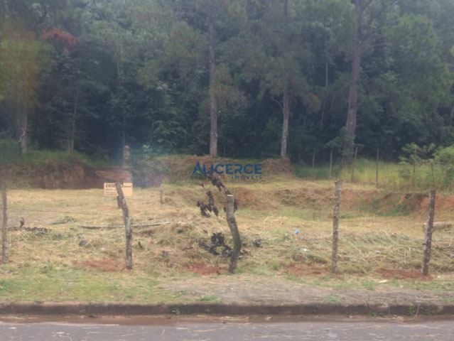 Foto cadastro cód. 4515