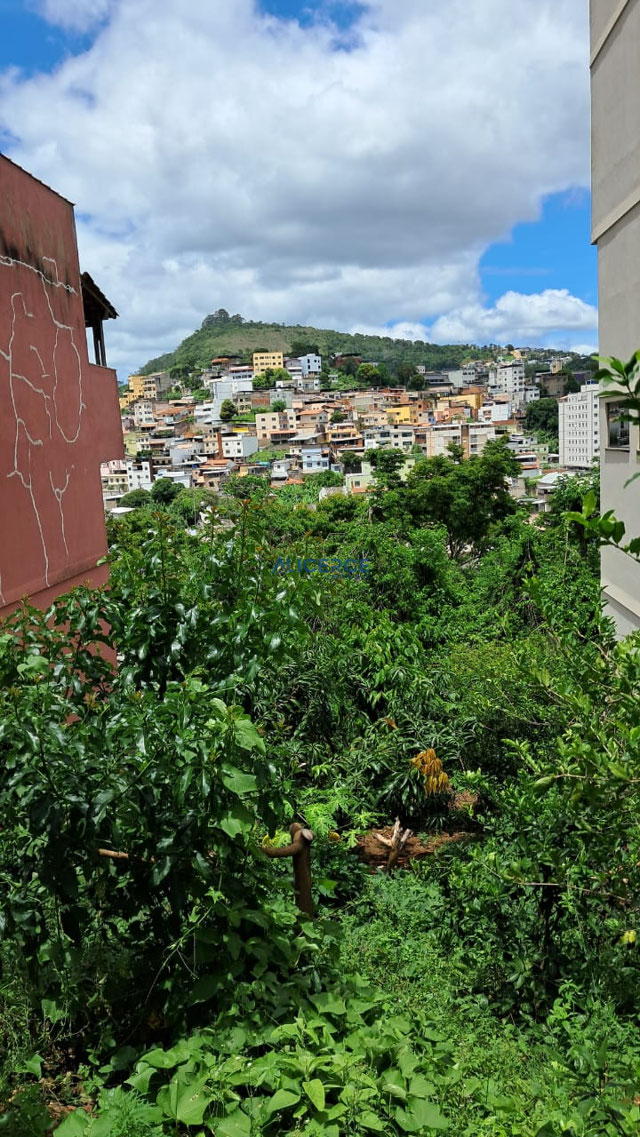 Foto cadastro cód. 4581