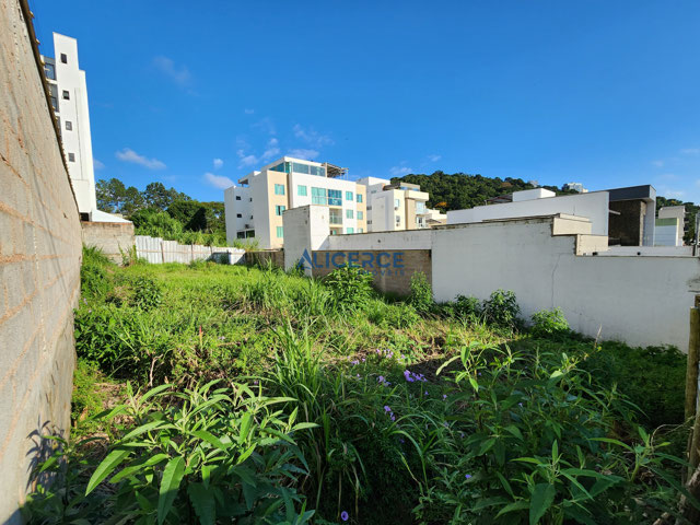 Foto cadastro cód. 4662