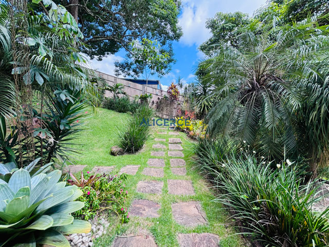 Foto cadastro cód. 4695