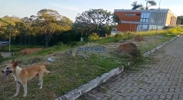 Foto cadastro cód. 4823