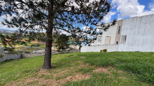 Foto cadastro cód. 4836