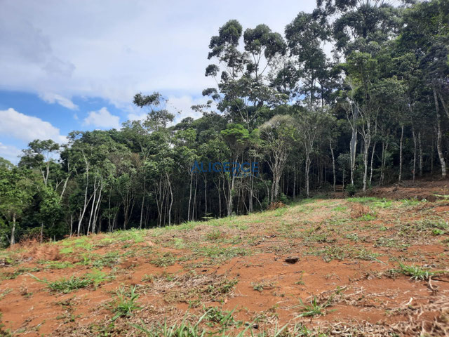 Foto cadastro cód. 4858