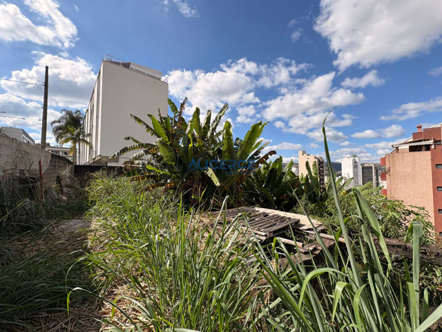 Terreno