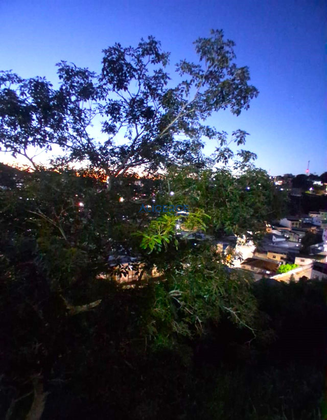 VISTA