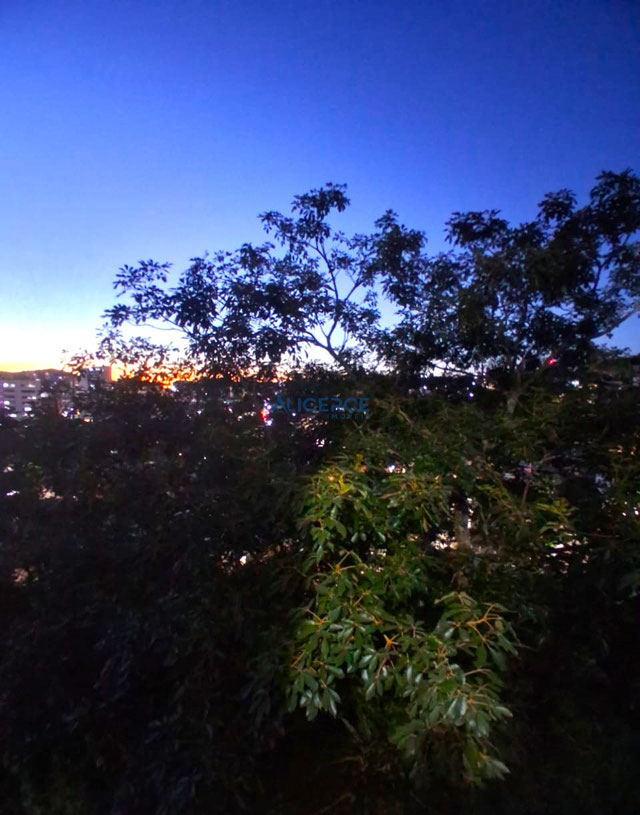 VISTA