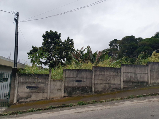 Terreno à venda, 481 m² por R$ 380.000,00 - Costa Carvalho - Juiz de Fora/MG