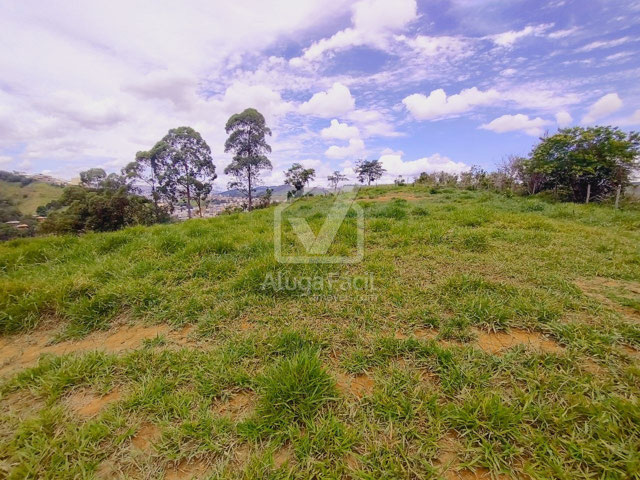 Foto cadastro cód. 1446