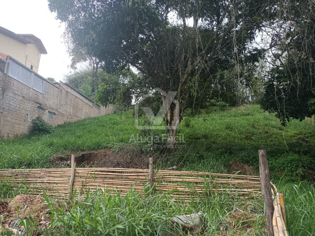 Foto cadastro cód. 1457