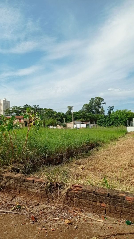 Foto cadastro cód. 1178