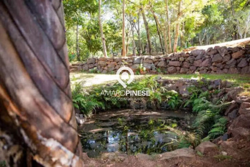 Foto cadastro cód. 1807