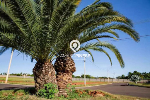 Foto cadastro cód. 1807