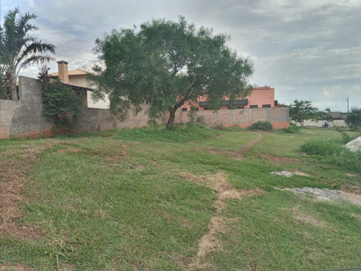 Foto cadastro cód. 1959