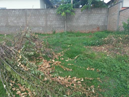 Foto cadastro cód. 1959