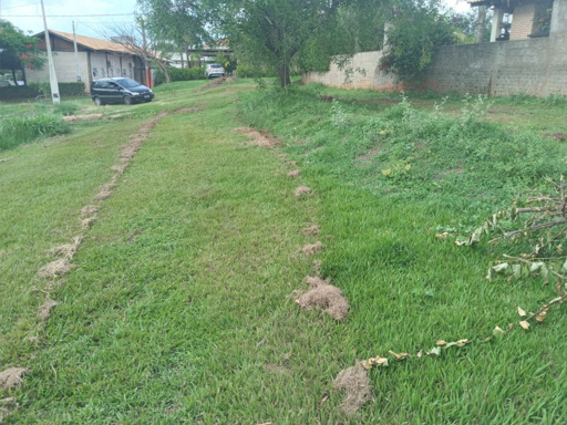 Foto cadastro cód. 1959