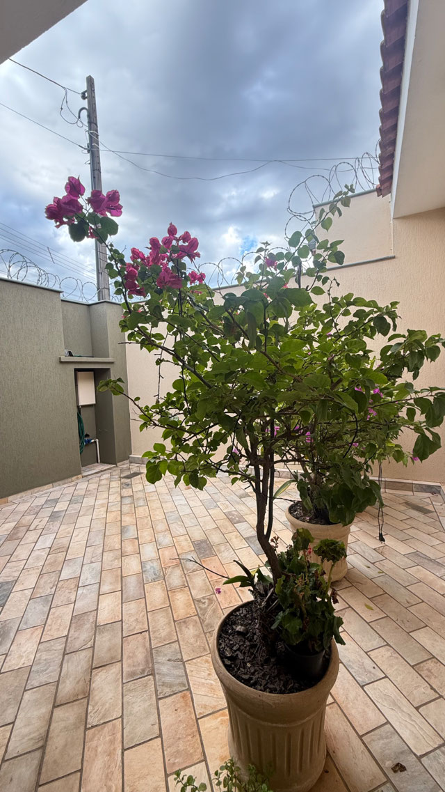 Foto cadastro cód. 2550