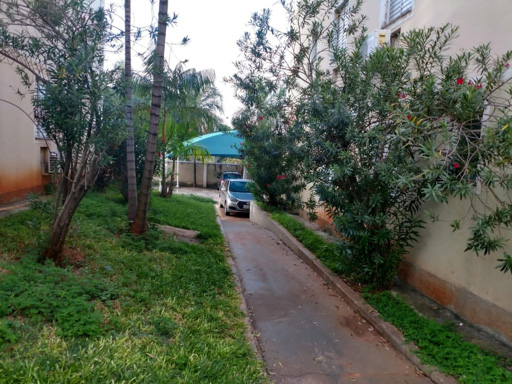 Foto cadastro cód. 384