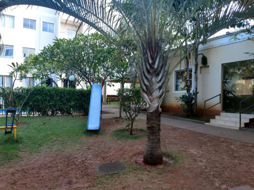 Foto cadastro cód. 384