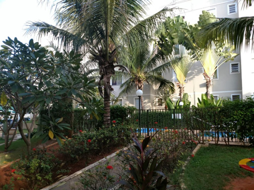 Foto cadastro cód. 384