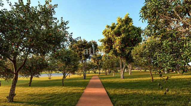 Foto cadastro cód. 110