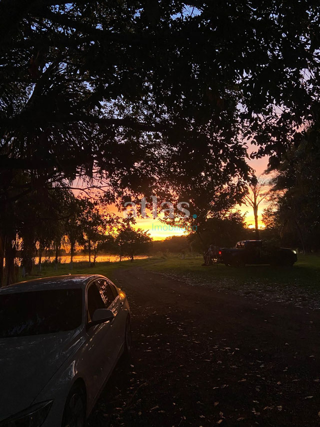 Foto cadastro cód. 4