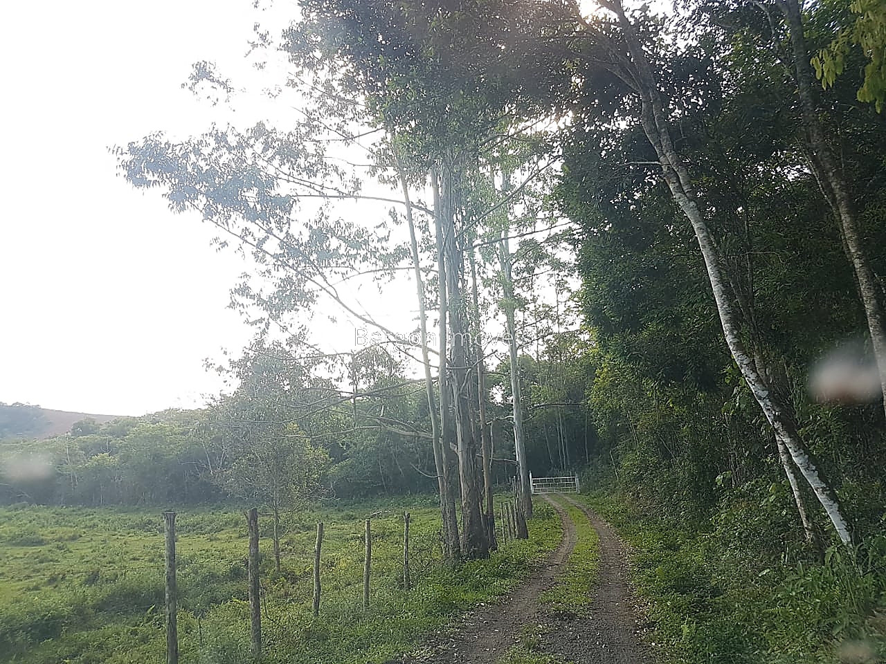 Chácara à venda em Fazenda São Joaquim, Juiz de Fora - MG - Foto 47
