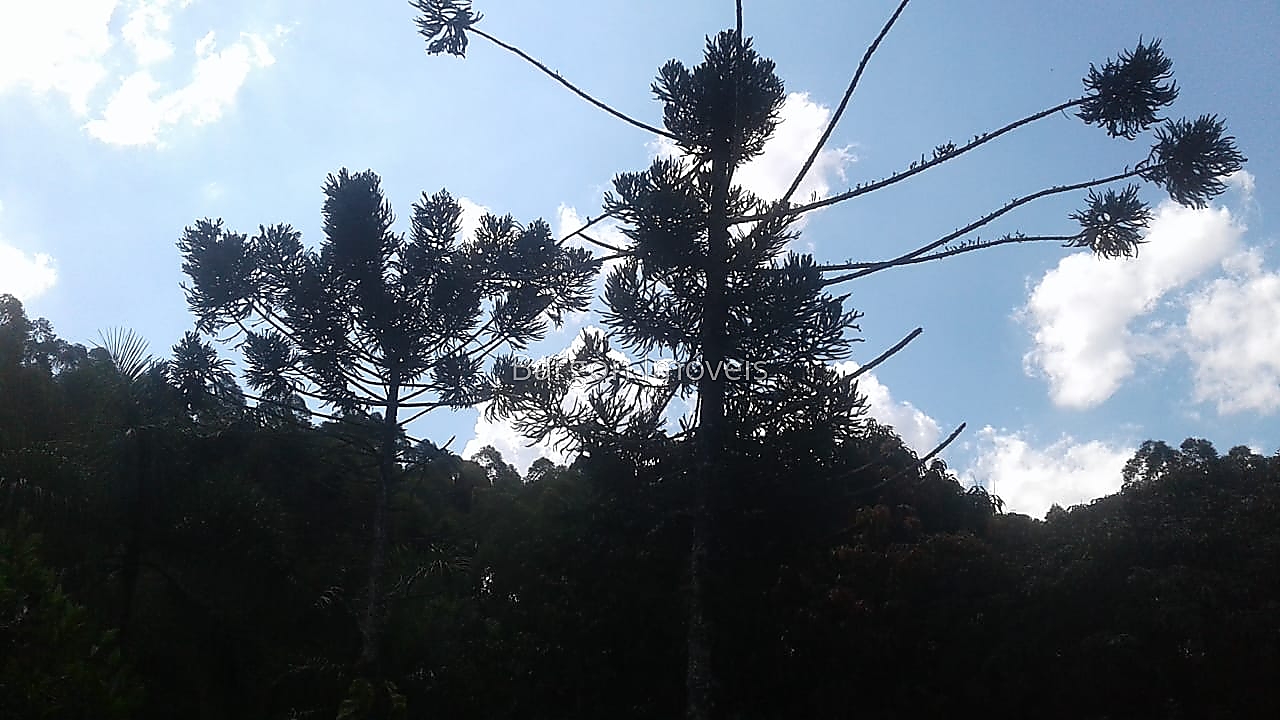 Chácara à venda em Fazenda São Joaquim, Juiz de Fora - MG - Foto 48