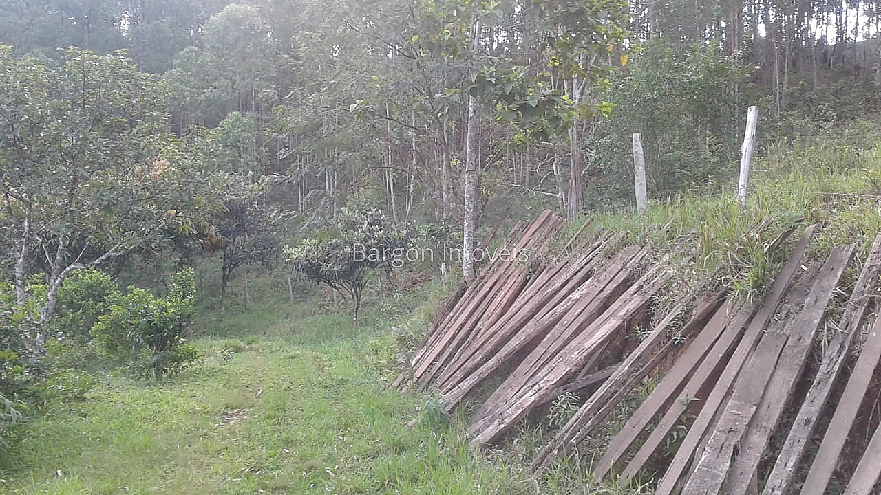 Chácara à venda em Fazenda São Joaquim, Juiz de Fora - MG - Foto 34