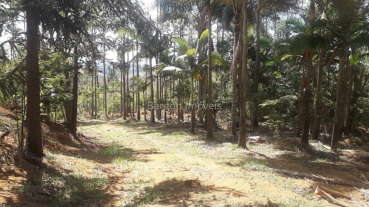 Terreno Residencial à venda em Park das Cachoeiras, Juiz de Fora - MG - Foto 6