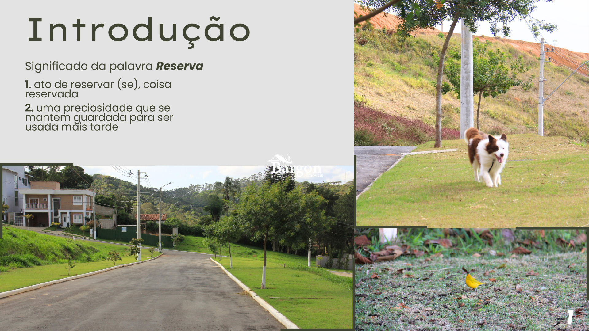 Terreno Residencial à venda em São Pedro, Juiz de Fora - MG - Foto 2